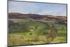 Derwent Valley, Peak District National Park, Derbyshire, England, United Kingdom, Europe-Tim Winter-Mounted Photographic Print