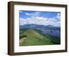 Derwent Water and Lonscale Fell from Cat Bells, Lake District National Park, Cumbria, England-Neale Clarke-Framed Photographic Print