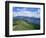 Derwent Water and Lonscale Fell from Cat Bells, Lake District National Park, Cumbria, England-Neale Clarke-Framed Photographic Print