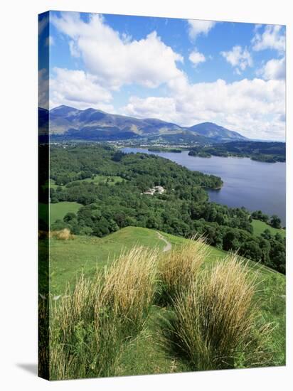 Derwent Water and Lonscale Fell from Cat Bells, Lake District National Park, Cumbria, England-Neale Clarke-Stretched Canvas