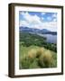 Derwent Water and Lonscale Fell from Cat Bells, Lake District National Park, Cumbria, England-Neale Clarke-Framed Photographic Print