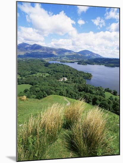 Derwent Water and Lonscale Fell from Cat Bells, Lake District National Park, Cumbria, England-Neale Clarke-Mounted Photographic Print