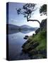 Derwent Water, Lake District National Park, Cumbria, England, United Kingdom, Europe-Jeremy Lightfoot-Stretched Canvas