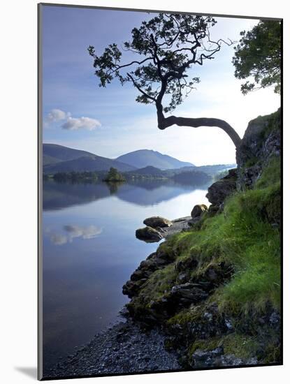 Derwent Water, Lake District National Park, Cumbria, England, United Kingdom, Europe-Jeremy Lightfoot-Mounted Photographic Print