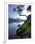 Derwent Water, Lake District National Park, Cumbria, England, United Kingdom, Europe-Jeremy Lightfoot-Framed Photographic Print