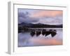 Derwentwater, Lake District, England, UK-Nadia Isakova-Framed Photographic Print