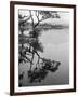 Derwentwater Reflections-null-Framed Photographic Print