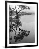 Derwentwater Reflections-null-Framed Photographic Print