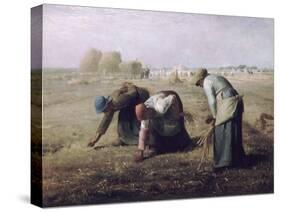 Des Glaneuses (The Gleaners)-Jean-Fran?ois Millet-Stretched Canvas