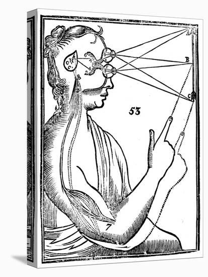 Descartes' Idea of Vision, 1692-null-Stretched Canvas
