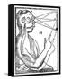 Descartes' Idea of Vision, 1692-null-Framed Stretched Canvas