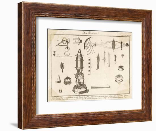 Descartes Microscope-null-Framed Art Print