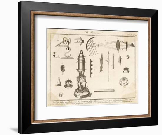 Descartes Microscope-null-Framed Art Print