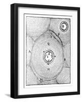 Descartes' Model of the Universe, 1668-null-Framed Giclee Print