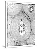 Descartes' Model of the Universe, 1668-null-Stretched Canvas