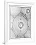 Descartes' Model of the Universe, 1668-null-Framed Giclee Print