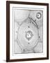 Descartes' Model of the Universe, 1668-null-Framed Giclee Print