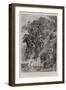 Descending a Spruit, a Rough Road for the Guns-John Charlton-Framed Giclee Print