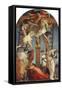 Descent from the Cross, 1521-Rosso Fiorentino (Battista di Jacopo)-Framed Stretched Canvas