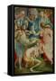 Descent from the Cross, Capponi Chapel-Jacopo da Carucci Pontormo-Framed Stretched Canvas