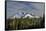 Deschutes National Forest, Oregon, USA. Broken Top in fresh snow.-Mark Williford-Framed Stretched Canvas