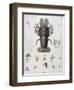 Description de l'Egypte : Zoologie, crustacé : homard-Salvadore Tresca-Framed Premium Giclee Print