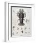 Description de l'Egypte : Zoologie, crustacé : homard-Salvadore Tresca-Framed Premium Giclee Print