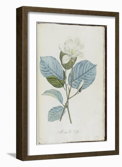 Description des plantes rares que l'on cultive à Navarre et à Malmaison-Pierre-Joseph Redouté-Framed Giclee Print