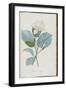 Description des plantes rares que l'on cultive à Navarre et à Malmaison-Pierre-Joseph Redouté-Framed Giclee Print