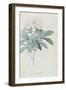 Description des plantes rares que l'on cultive à Navarre et à Malmaison-Pierre-Joseph Redouté-Framed Giclee Print