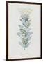 Description des plantes rares que l'on cultive à Navarre et à Malmaison-Pierre-Joseph Redouté-Framed Giclee Print