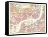 Descriptive Map of London Poverty, 1889-null-Framed Stretched Canvas