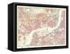 Descriptive Map of London Poverty, 1889-null-Framed Stretched Canvas