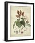 Descube Botanical V-null-Framed Art Print