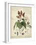 Descube Botanical V-null-Framed Art Print