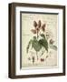 Descube Botanical V-null-Framed Art Print