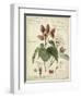 Descube Botanical V-null-Framed Art Print