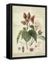 Descube Botanical V-null-Framed Stretched Canvas