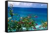 Desecheo Island View, Rincon, Puerto Rico-George Oze-Framed Stretched Canvas