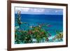 Desecheo Island View, Rincon, Puerto Rico-George Oze-Framed Photographic Print