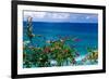 Desecheo Island View, Rincon, Puerto Rico-George Oze-Framed Photographic Print