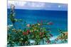 Desecheo Island View, Rincon, Puerto Rico-George Oze-Mounted Photographic Print