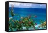 Desecheo Island View, Rincon, Puerto Rico-George Oze-Framed Stretched Canvas