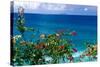 Desecheo Island View, Rincon, Puerto Rico-George Oze-Stretched Canvas