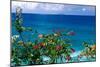 Desecheo Island View, Rincon, Puerto Rico-George Oze-Mounted Photographic Print