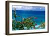 Desecheo Island View, Rincon, Puerto Rico-George Oze-Framed Premium Photographic Print