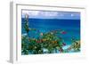 Desecheo Island View, Rincon, Puerto Rico-George Oze-Framed Premium Photographic Print