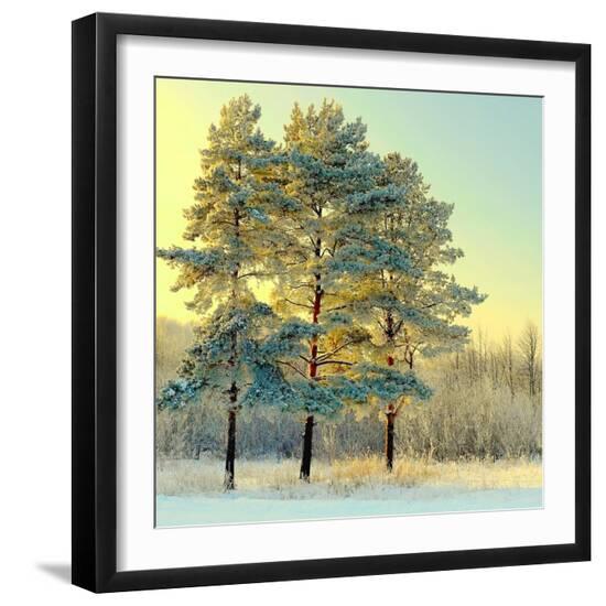 Premium Photographic Print, , large