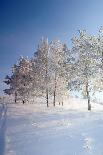 Beautiful Landscape with Winter Forest-DeSerg-Framed Stretched Canvas