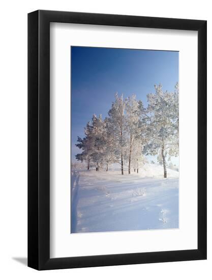 Premium Photographic Print, , large